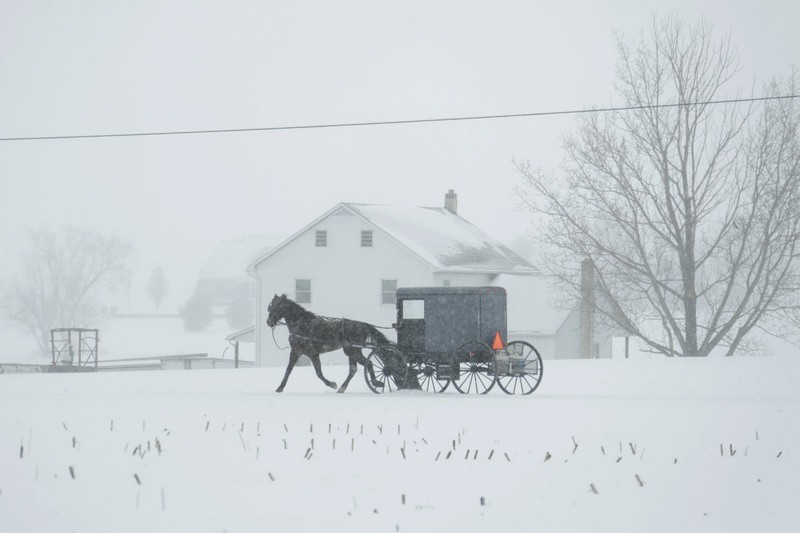 Bão tuyết muộn bất thường ở Mỹ khiến New York, Washington