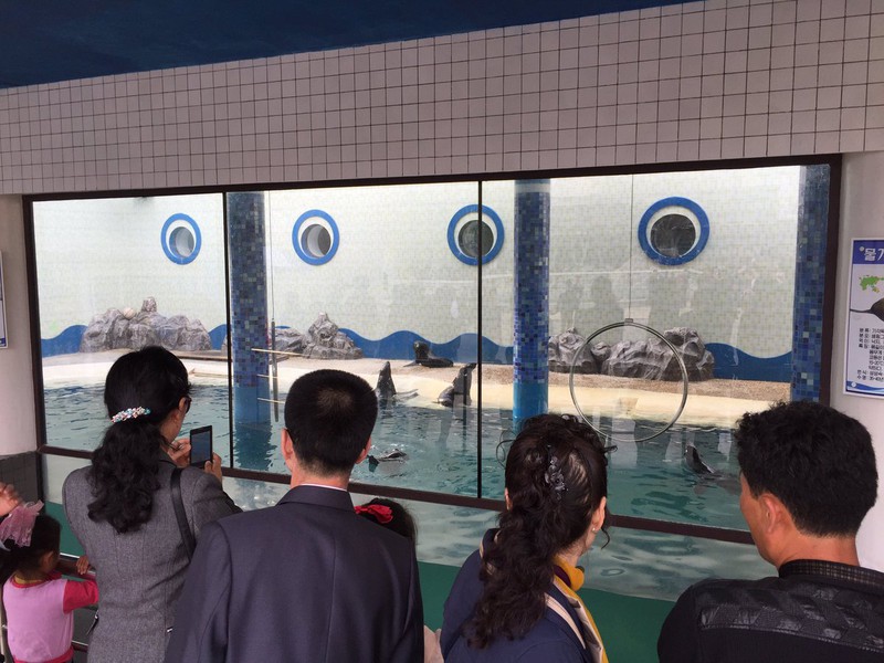 Bình Nhưỡng vẫn yên ả sau khi Triều Tiên phóng tên lửa thất bại - ảnh 12