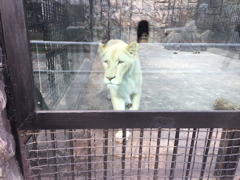 Bình Nhưỡng vẫn yên ả sau khi Triều Tiên phóng tên lửa thất bại - ảnh 5