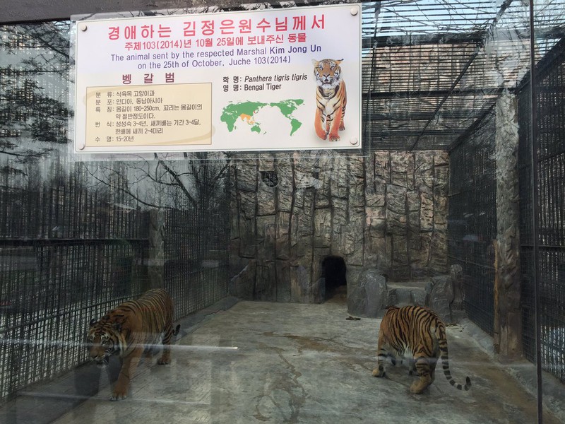 Bình Nhưỡng vẫn yên ả sau khi Triều Tiên phóng tên lửa thất bại - ảnh 6