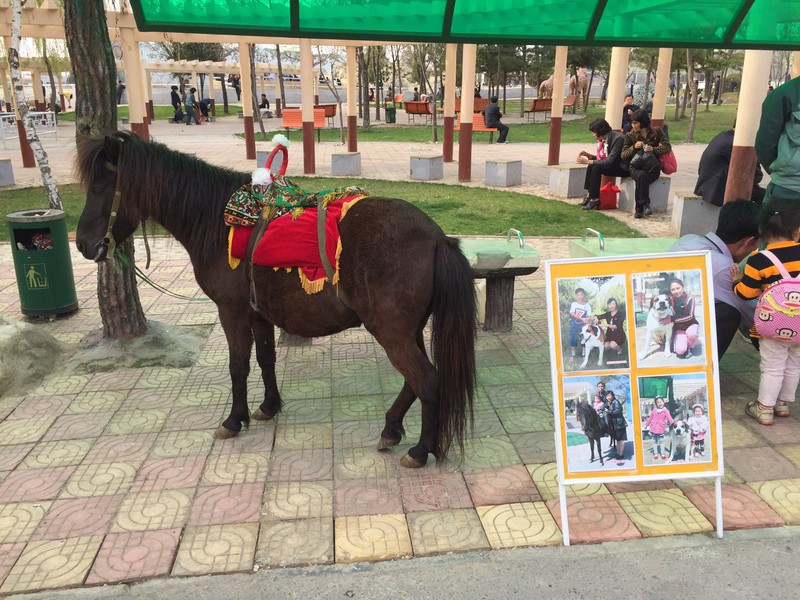 Bình Nhưỡng vẫn yên ả sau khi Triều Tiên phóng tên lửa thất bại - ảnh 7