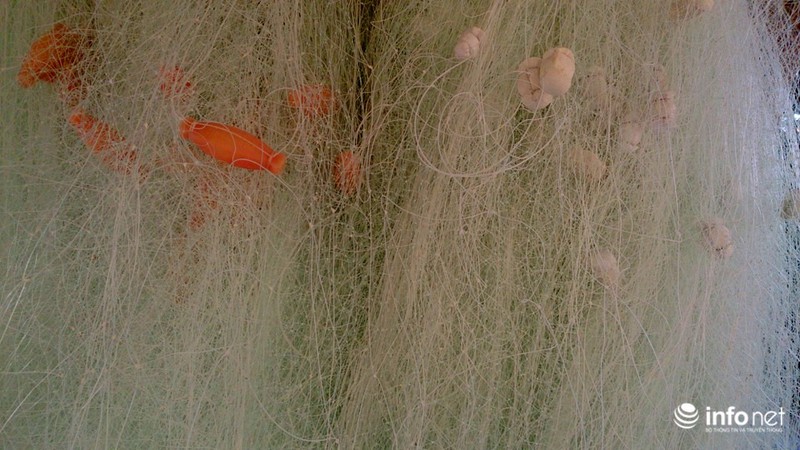 Hình ảnh cuộc sống yên bình của người dân tại Trường Sa - ảnh 10