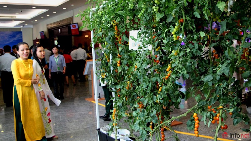 Tổng Bí thư tham quan triển lãm công nghệ cao tại TP.HCM - ảnh 11