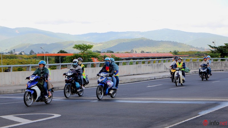 Dã quỳ đã vàng rực cao nguyên - ảnh 6