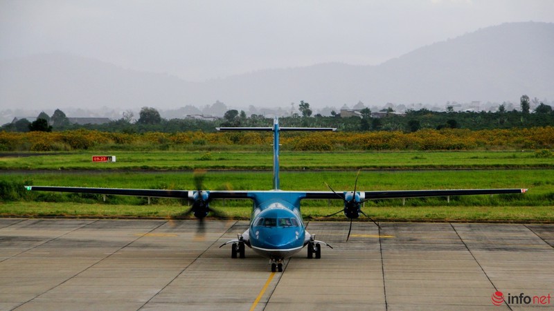 Dã quỳ đã vàng rực cao nguyên - ảnh 14