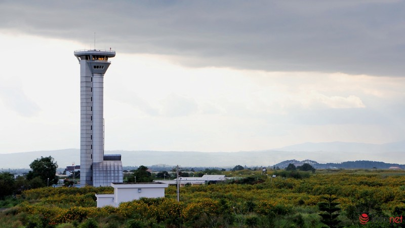 Dã quỳ đã vàng rực cao nguyên - ảnh 15