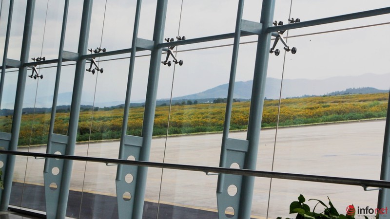 Dã quỳ đã vàng rực cao nguyên - ảnh 16