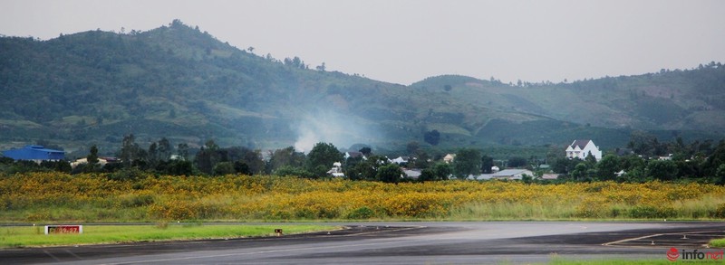 Dã quỳ đã vàng rực cao nguyên - ảnh 19