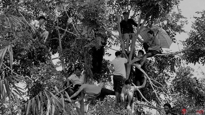 Toàn cảnh phiên xử tại Bình Phước qua bộ ảnh đen trắng - ảnh 23