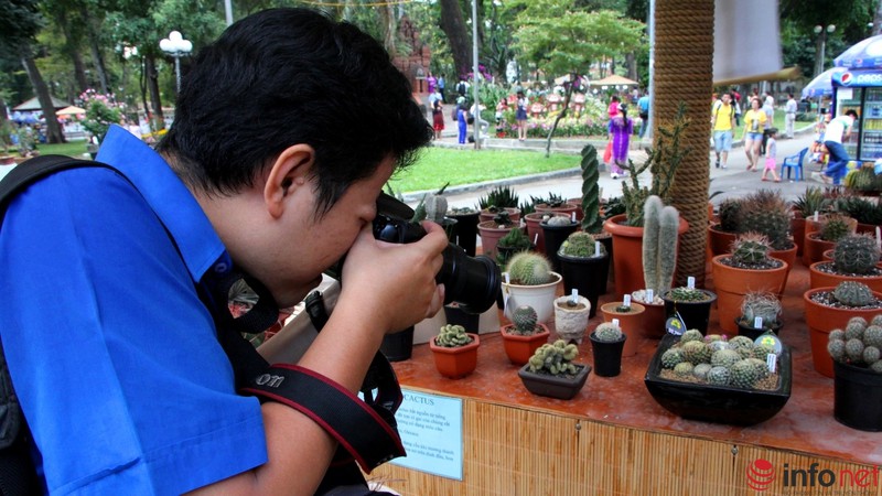 Ngỡ ngàng trước hàng trăm loại xương rồng