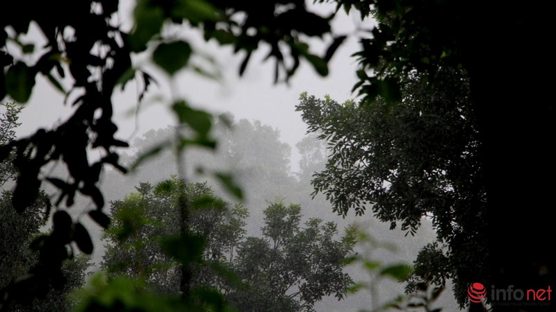 Hình ảnh toàn cảnh buổi tìm kiếm trực thăng EC-130 và đưa các phi công xuống núi - ảnh 10