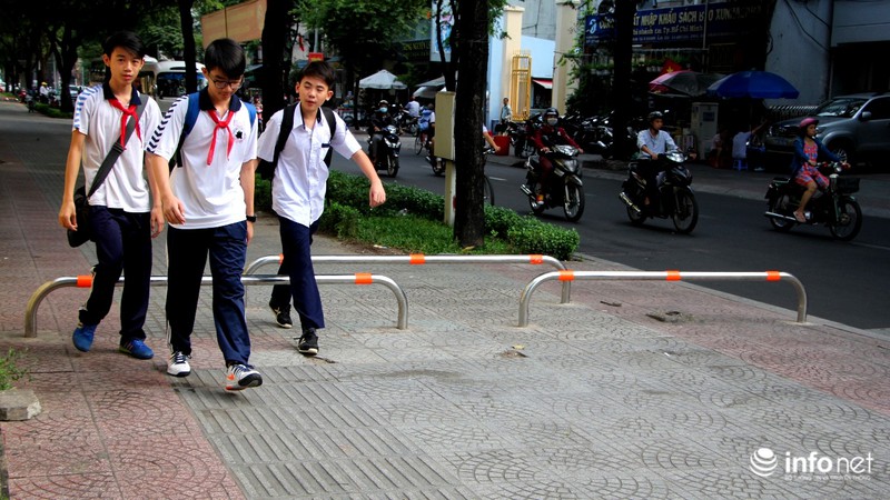 TP.HCM: Cỏ bồn hoa chết sạch vì... barie chắn ngang vỉa hè - ảnh 5