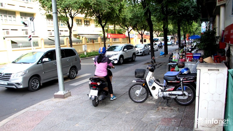 TP.HCM: Cỏ bồn hoa chết sạch vì... barie chắn ngang vỉa hè - ảnh 9