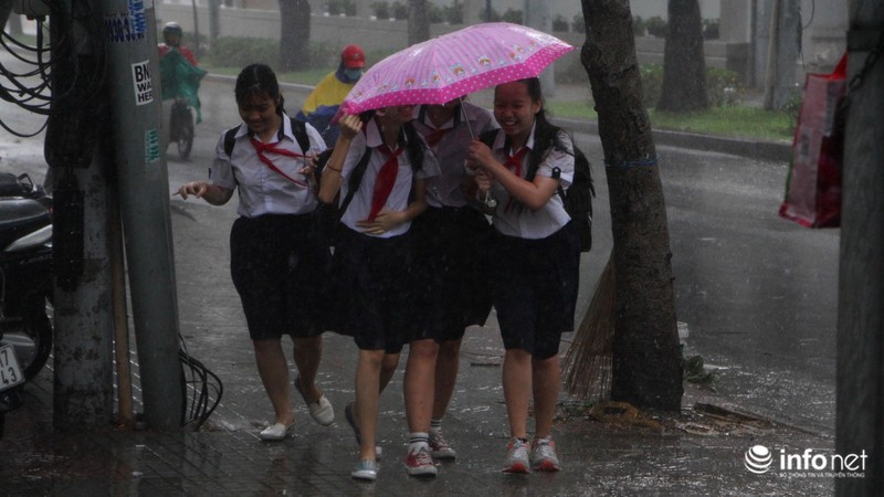 TP.HCM: Trời tối sầm, mưa gió như trút giữa trưa - ảnh 5