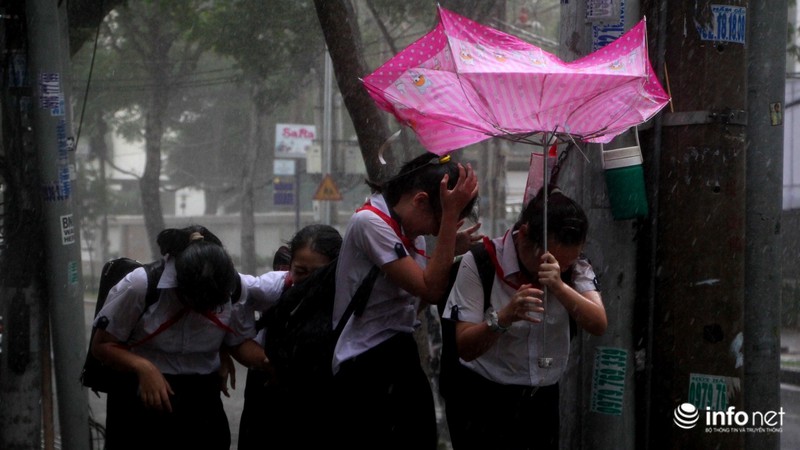 TP.HCM: Trời tối sầm, mưa gió như trút giữa trưa - ảnh 6