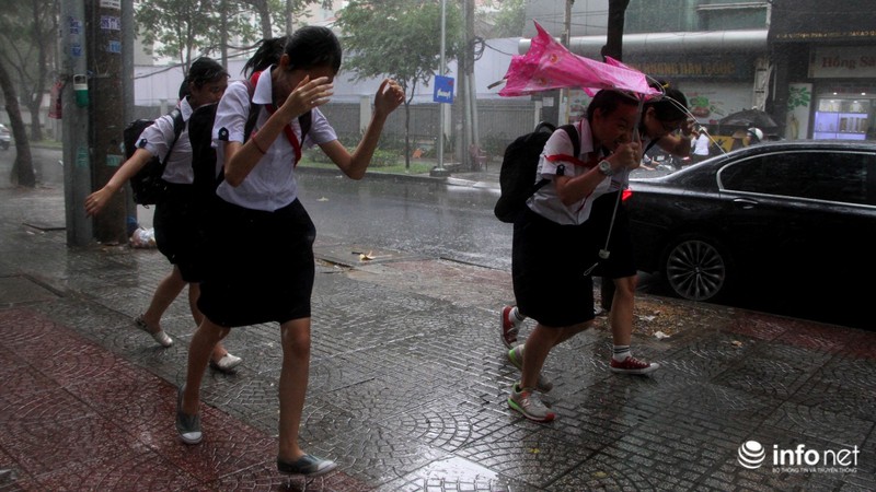 TP.HCM: Trời tối sầm, mưa gió như trút giữa trưa - ảnh 7