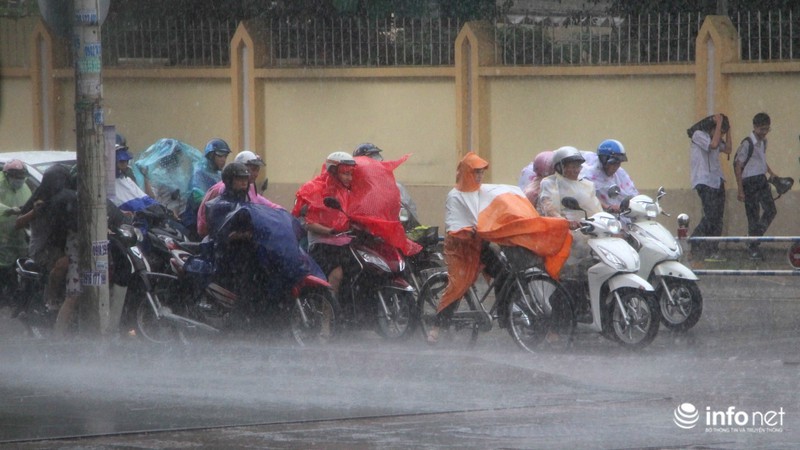 TP.HCM: Trời tối sầm, mưa gió như trút giữa trưa - ảnh 13