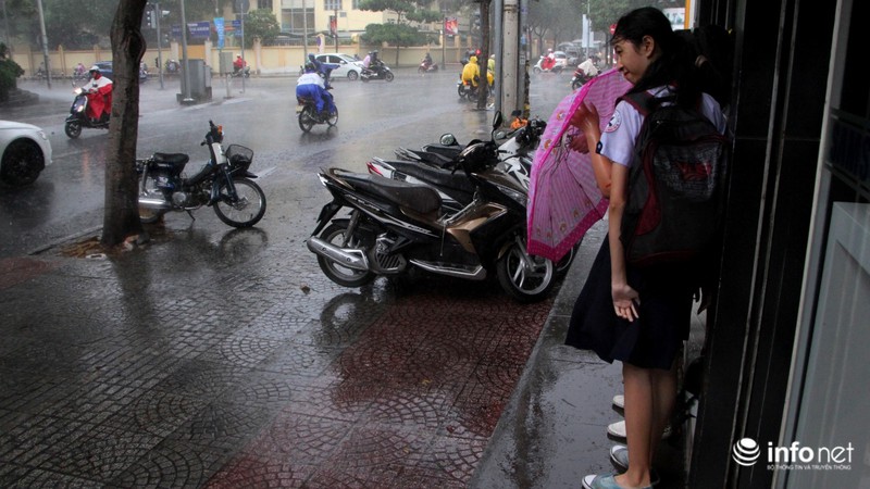 TP.HCM: Trời tối sầm, mưa gió như trút giữa trưa - ảnh 8