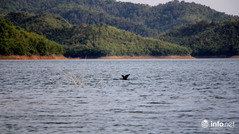 Khám phá ''Vịnh Hạ Long