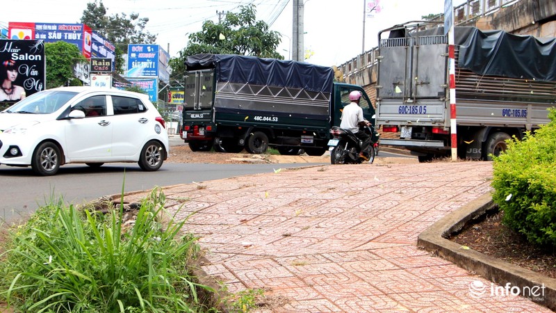 Tháng 4 - Tây Nguyên mùa bướm bay - ảnh 8