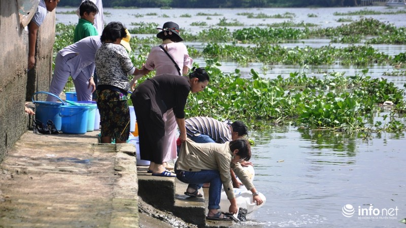 Ngày Phật Đản: Cá vừa phóng sinh liền bị chích điện bắt ngay - ảnh 5