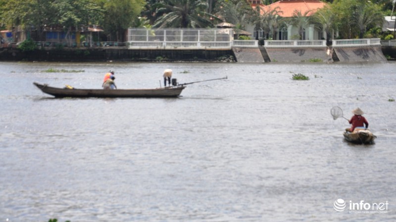 Ngày Phật Đản: Cá vừa phóng sinh liền bị chích điện bắt ngay - ảnh 11
