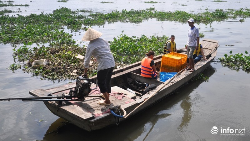 Ngày Phật Đản: Cá vừa phóng sinh liền bị chích điện bắt ngay - ảnh 9