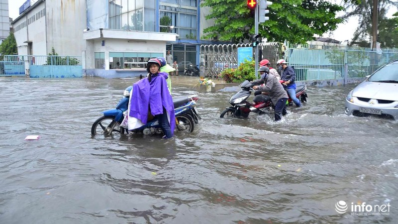 TP.HCM lo ngại một mùa mưa kỷ lục - ảnh 9