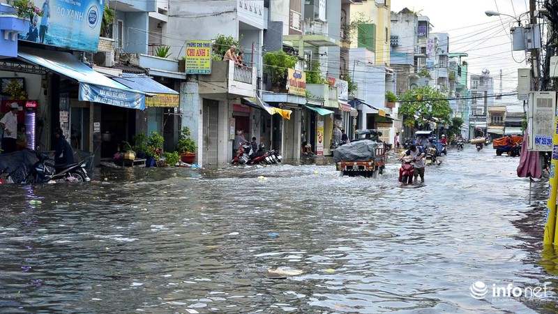 TP.HCM lo ngại một mùa mưa kỷ lục - ảnh 7