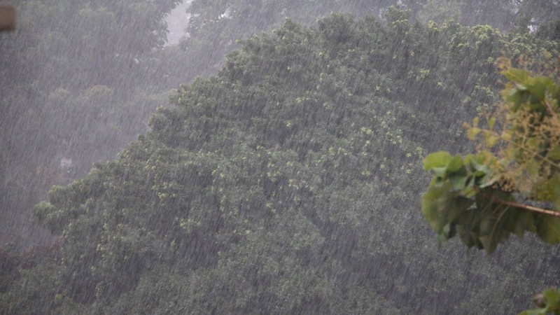 Mưa tầm tã 4h liên tục, người dân TP.HCM lại oằn mình chịu ngập - ảnh 1