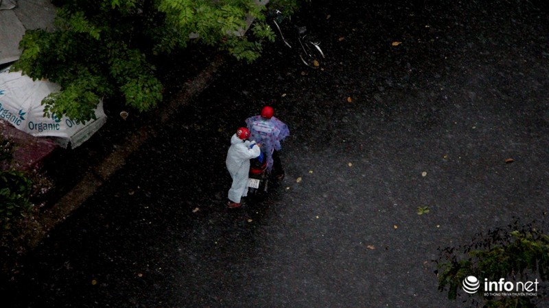 TP.HCM mưa to gió lớn vào ngày cuối tuần - ảnh 8
