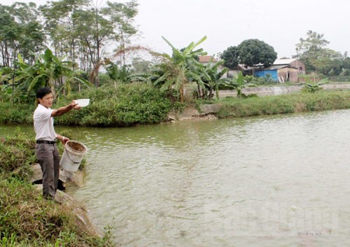 Tuổi trẻ Bắc Giang chung tay xây dựng nông thôn mới - ảnh 2