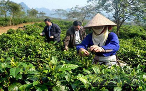 Ông Dân “làm quan” và “ông quan” làm dân - ảnh 2