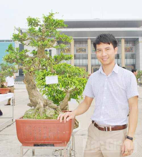 Bắc Giang: Cây cảnh “ độc, đắt, đẹp” ở Quảng trường 3-2 - ảnh 8