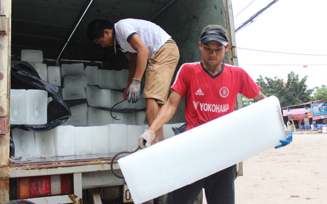 Cửu vạn, mùa hốt bạc - ảnh 2