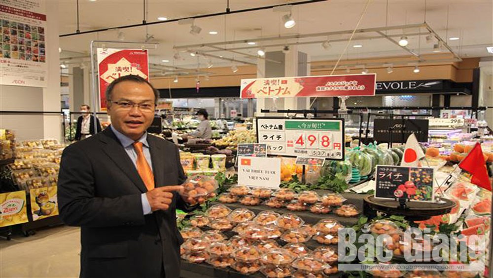 vải thiều, Bắc Giang, Lục Ngạn, thị trường cao cấp