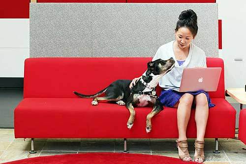 video, website, youtube, trụ sở, facebook, google, thiết kế