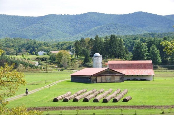 sóng di động, điện thoại, Wifi, nước Mỹ