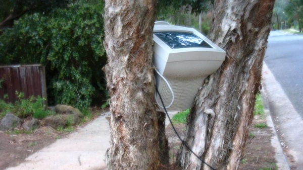 chip máy tính, máy tính, tương lai, rác thải, phân hủy, làm từ gỗ