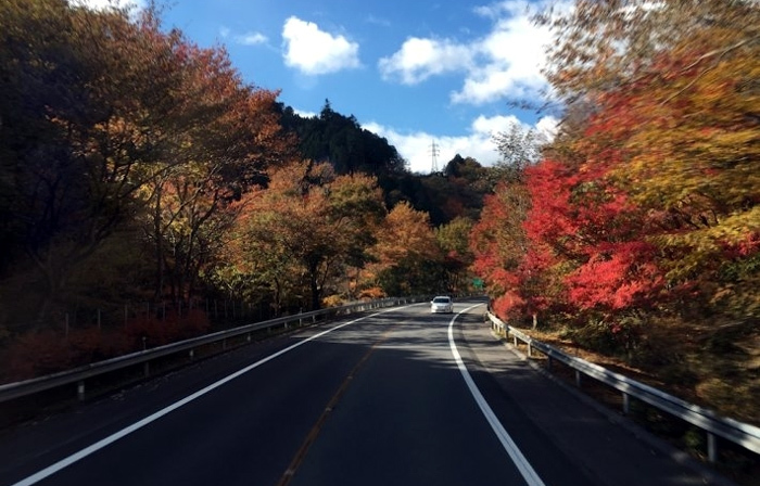 Sang Nhật càng xấu hổ cho kiểu lái ôtô Việt Nam - ảnh 3