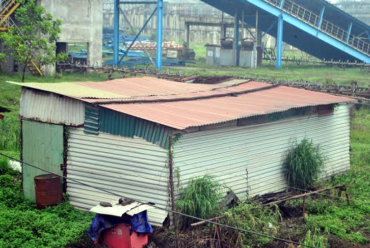 Nhà máy thép 8.000 tỷ: Đại dự án 10 năm hoang tàn - ảnh 4