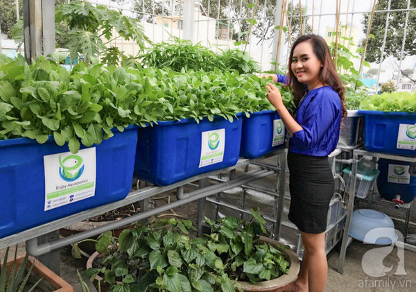 Bỏ việc giám đốc ngân hàng, bán rau sạch thu 2 tỷ đồng/tháng - ảnh 1
