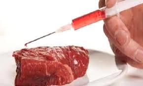 Nhồi heo ăn chất cấm vượt 'ngưỡng' hàng trăm lần, chỉ bị phạt 20 triệu - ảnh 1