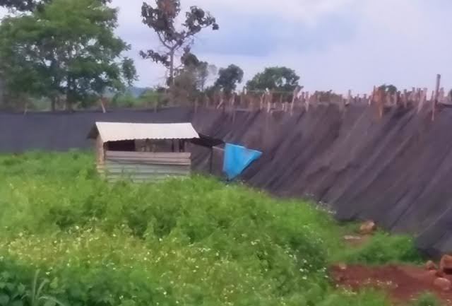 Gia Lai: Chủ tịch xã quan hệ bất chính 'trần như nhộng' chạy trốn - ảnh 2