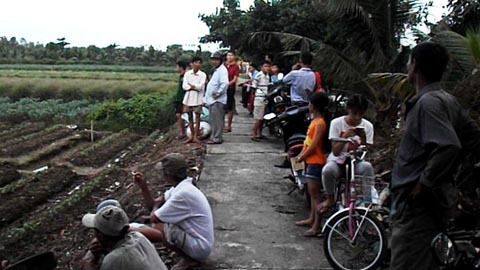 Vợ bỏ đi, chồng đâm chết bố vợ giữa cánh đồng - ảnh 1