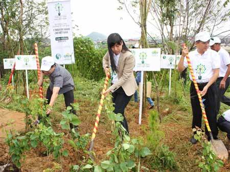 quỹ, cây xanh, Đà Lạt, 1 triệu cây xanh, lễ trồng cây
