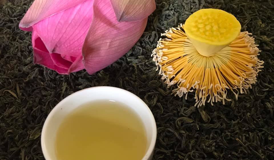 Hai cách ướp trà sen thông dụng nhất
