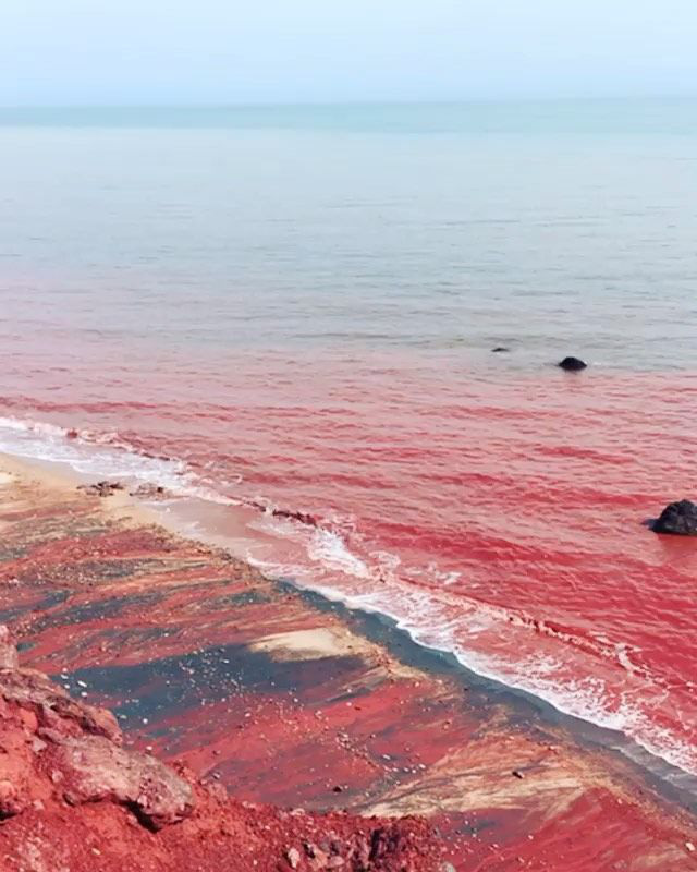 Clip: Sóng đánh đỏ ngầu như máu ở vùng biển kỳ lạ bậc nhất thế giới, khách du lịch đổ xô tới để tìm hiểu nguyên nhân - Ảnh 2.