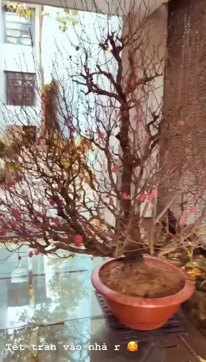 Phanh Lee - vợ Tổng Giám đốc tập đoàn Cocobay khoe nhẹ vài góc nhà chuẩn bị đón Tết, netizen choáng ngợp vì độ xa hoa - Ảnh 3.