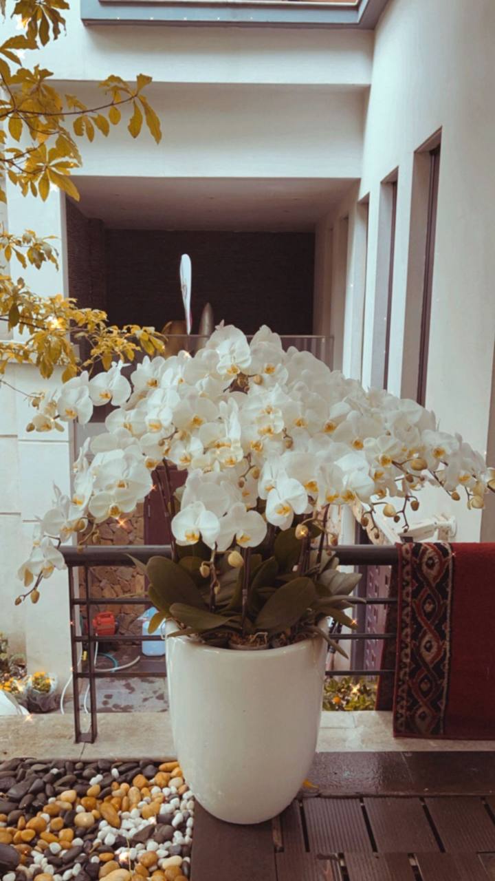 Phanh Lee - vợ Tổng Giám đốc tập đoàn Cocobay khoe nhẹ vài góc nhà chuẩn bị đón Tết, netizen choáng ngợp vì độ xa hoa - Ảnh 5.